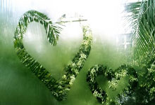 葡萄牙杯冠军意味着什么？它的历史与影响力如何？